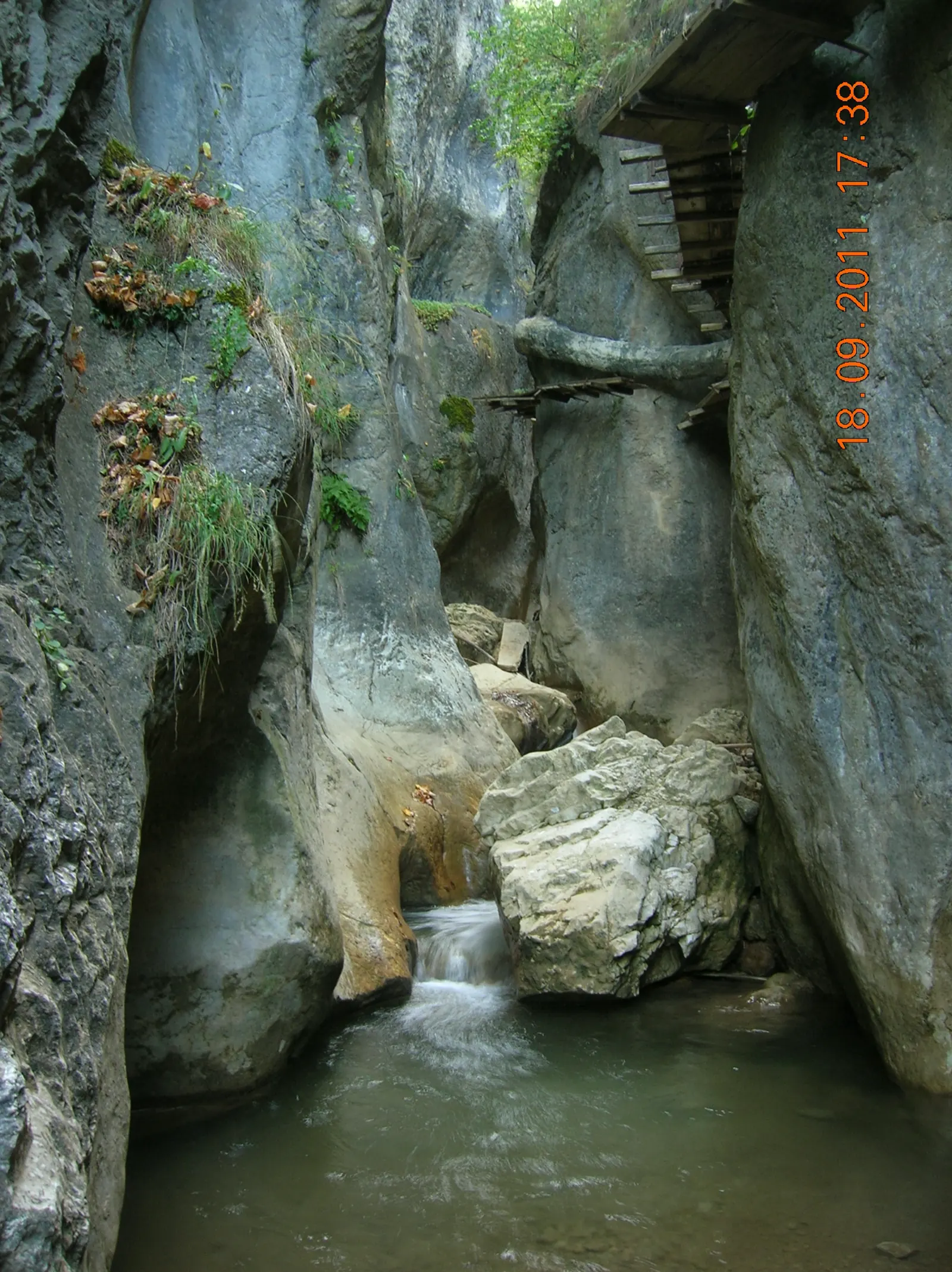 Cheile Șugăului – Munticelu (2)